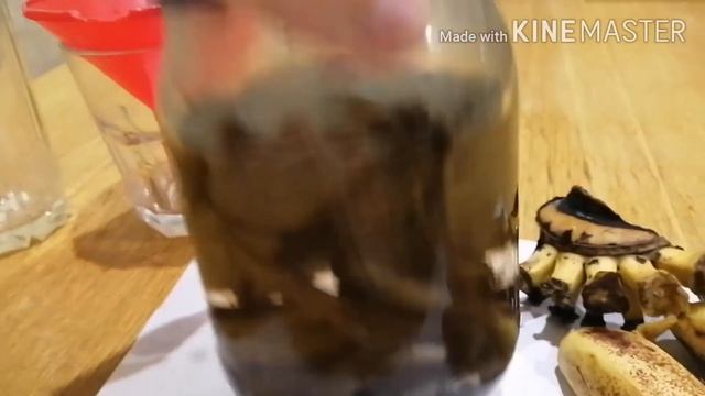 Супер подкормка! Банановая кожура, как бюджетное, но эффективное удобрение для комнатных растений.