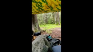 Сплав по реке Усьва, от  с.Усьва до п.Мыс. Июнь 2022г.