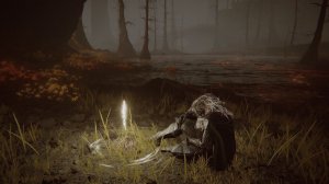 Elden Ring: Shadow of the Erdtree - 33 серия - Лес бездны