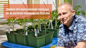 Ошибки при выращивании рассады, которые приводят к заболеваниям. Запись эфира.