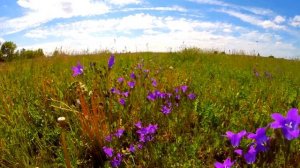 Очень красивая музыка и красота родного края!