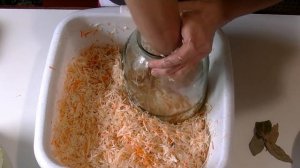 Как и  КОГДА  квасить капусту.