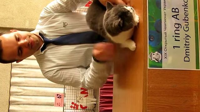 Выставка.Джава смотреть онлайн