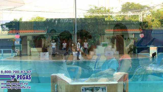 Таиланд 2013. Самуи. Шоу морских львов. смотреть онлайн