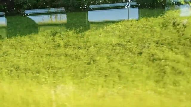 Поездка на Дизель-поезде ДДБ-1 по маршруту Витебск-Полоцк смотреть онлайн