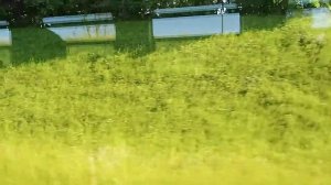 Поездка на Дизель-поезде ДДБ-1 по маршруту Витебск-Полоцк