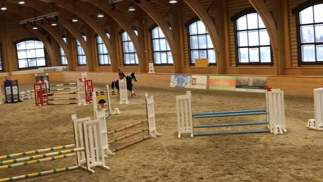 Конкур до 80см, КСК Пегас Ангелина/Волга (25.11.2018) смотреть онлайн