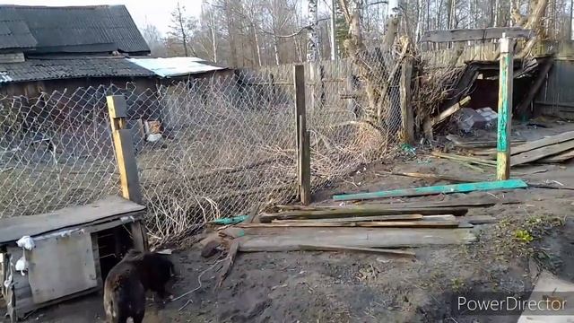 делаю забор из сетки рябицы смотреть онлайн