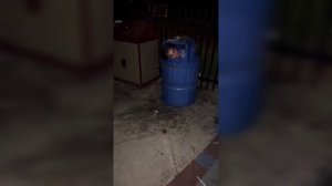 Grimace Shake Meme • Tiktok Compilation