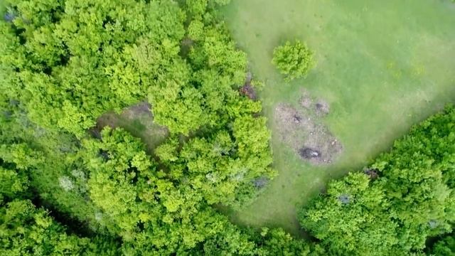 Nature Sounds Birds - Relaxing Nature Sounds - 24 Hour no ads