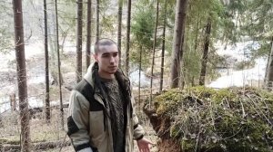Один точек - одна порода пчел