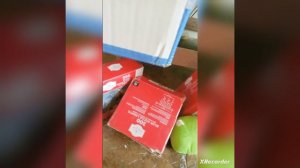 Angry Birds Plush Seasons: Episode 5- Easter Eggs