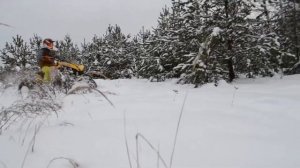 BRP can-am 500 renegade