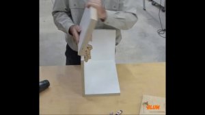 Уникальные свойства "Петля Clip top Blumotion +155° с нулевым вхожением".