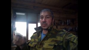 ворота с калиткой с элементами ковки своими руками