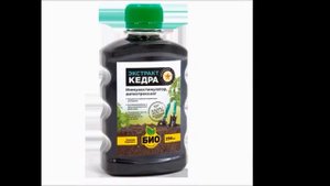 ЭКСТРАКТ КЕДРА