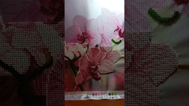Появление первого цветочка?