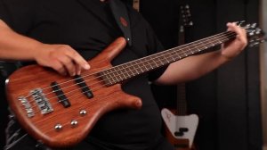 [BASS COVER] Metallica - Harvester of Sorrow