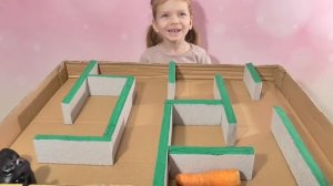 Лабиринт для Грызунов Своими Руками | Морские Свинки в Лабиринте | DIY Guinea Pig Labyrinth