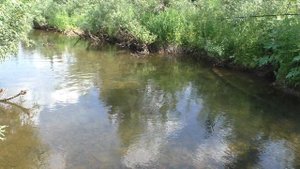 108 Серия Рыба Хариус Клюнул и оборвал Верхнюю Обманку Удочка Поплавок Тайга Сибирь