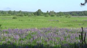 К Дерр. Молитва о России.