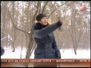 Бродячие собаки нападают на людей