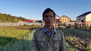 Чтобы не полоть сорняк на картофельном поле.