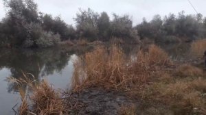 Каланча 06.11.2021