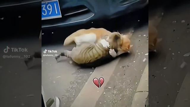 смешно
