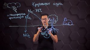 Биохимические процессы в биосфере - круговорот веществ. 9 класс.