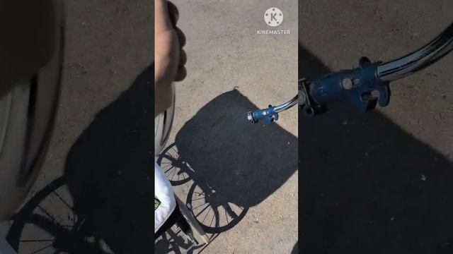 Коляска-люлька Inglesina Classica смотреть онлайн