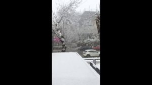 Кайрат Нуртас - Туман