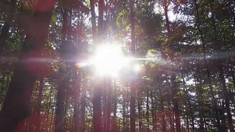 AERØHEAD - Perilune