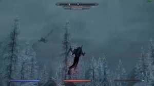 Skyrim Special Edition Aerial Fight with Dragon