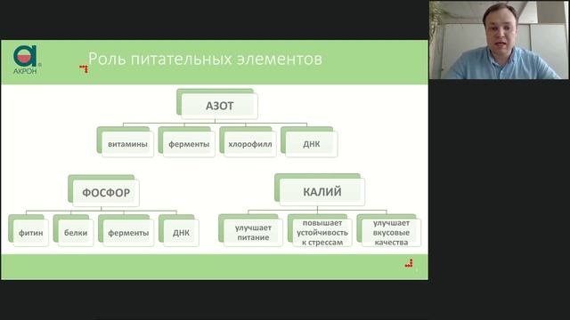 Роль питательных элементов в жизни растений