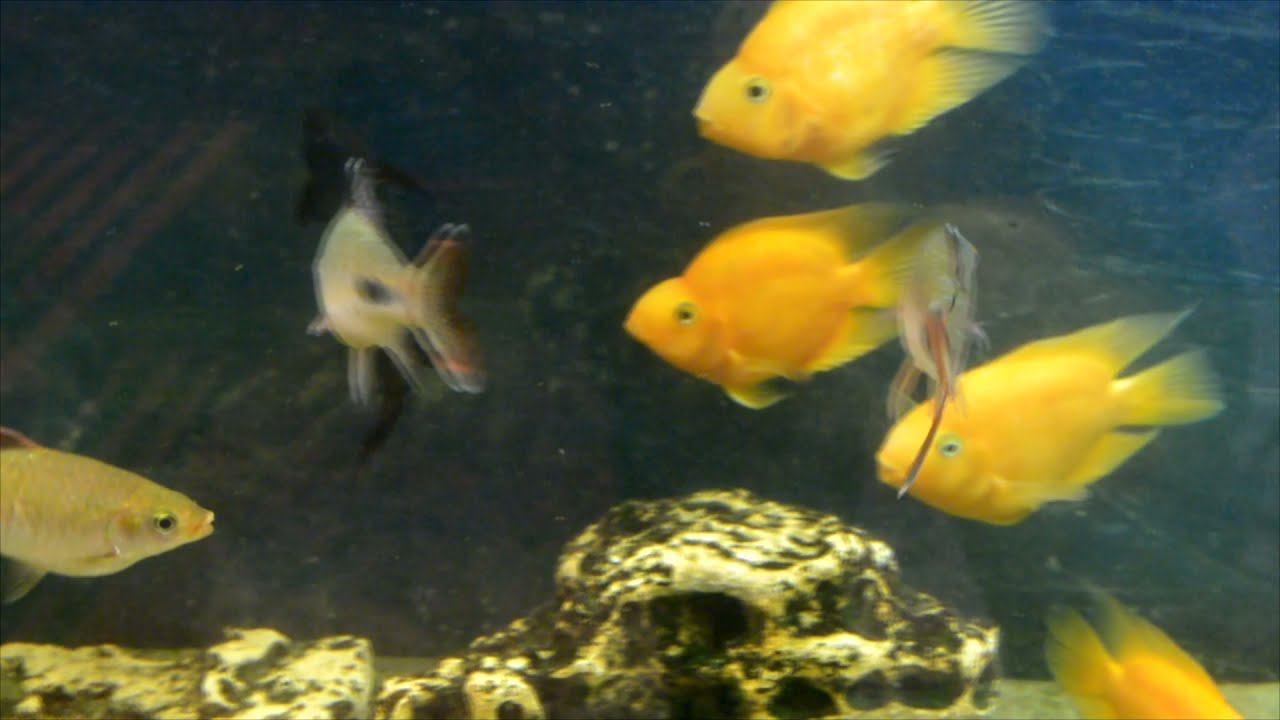 Предложение руки и сердца в ботаническом саду