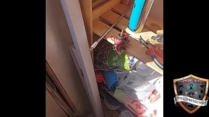 Опрыскиватель Champion PS257