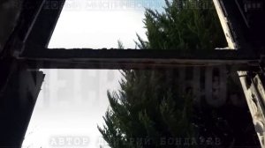 Страшные истории - Детективы - ДЕЛО №449. ПОКАЗАНИЯ БЕГЛЫХ В ТАЙГЕ Ужасы Страшилки Конкурс М. Джури