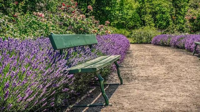 Евангелие дня. Чтимые святые дня. Равноапостольного великого князя Влади́мира. (28 июля 2020 года) смотреть онлайн