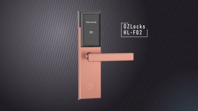 Краткий обзор дверного электронного замка OZLocks HL-F02