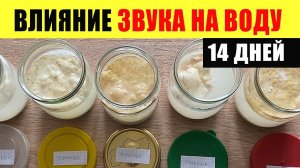 Влияние на воду музыки, слов, молитвы. Эксперименты с рисом