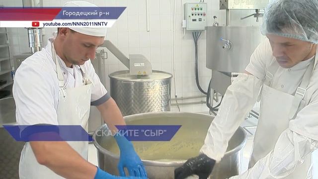 Сыроварня по производству сыров с голубой плесенью открылась в Городецком районе