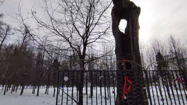 Ленинские Горки: Киногородок, дворянская усадьба, Владимир Ильич