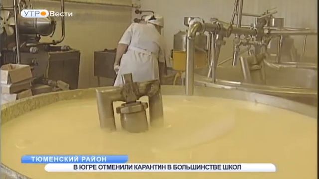 Россельхознадзор : почти 20 % молочной продукции является фальсификатом смотреть онлайн