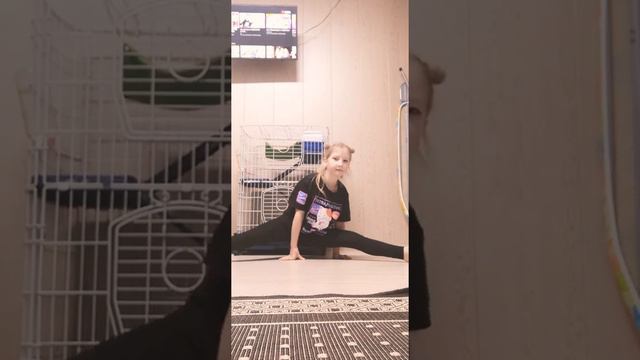 Как заделать шпакат за несколько дней