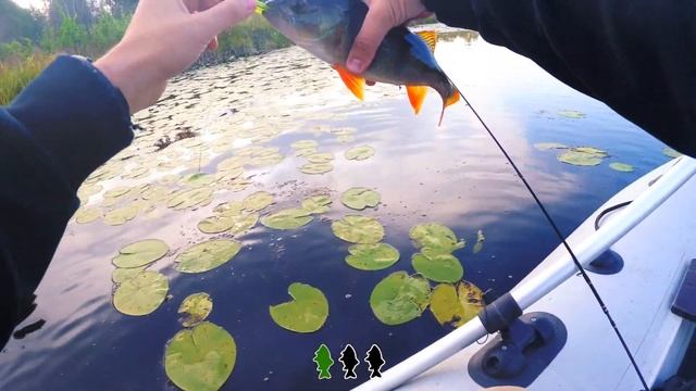 Рыболовный ЧЕЛЛЕНДЖ! Смогу ли ПОЙМАТЬ ТРИ РЫБЫ на НЕОГРУЖЕННУЮ РЕЗИНУ спиннингом?? смотреть онлайн