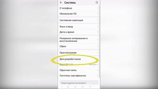 режим разработчика