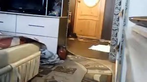 Что делает собака  когда дома нет хозяев   Часть 1