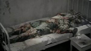 Ян Шванкмайер - "Флора" (1989)