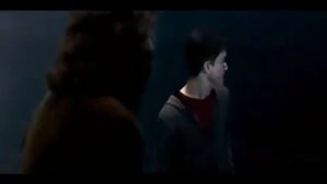 Harry Potter- Death Eaters Blow